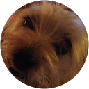 Cathy Hegarty profile picture
